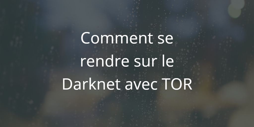 darknet-image-une