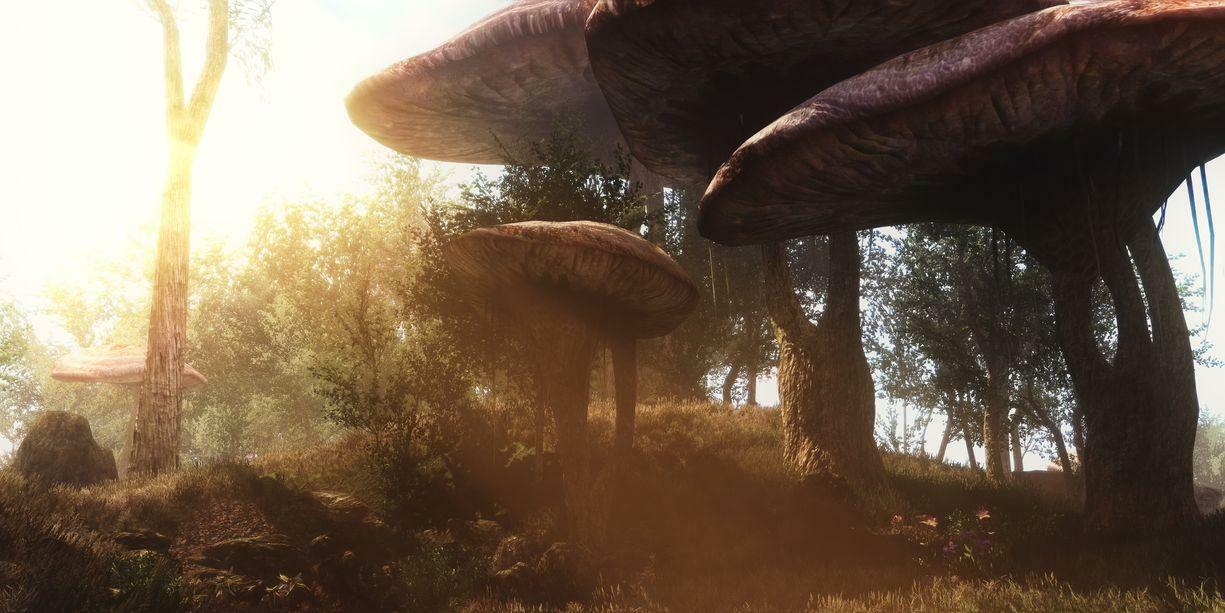 Screenshot Skyrim dans Morrowind
