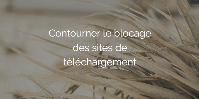 contourner-blocage-site-telechargement-torrent9-cpasbien-yggtorrent