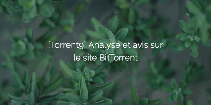 torrent9-analyse-avis-site-telechargement
