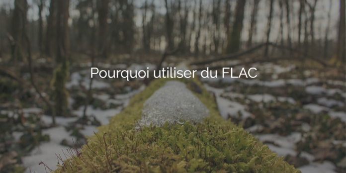 pourquoi-utiliser-flac-au-lieu-mp3