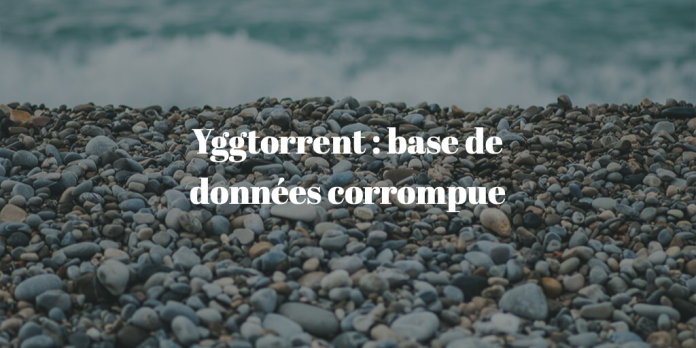 yggtorrent-maintenance-base-de-donnees
