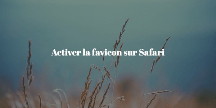 tuto-activer-favicon-safari-macos
