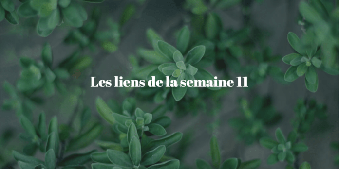 les-liens-semaine-11