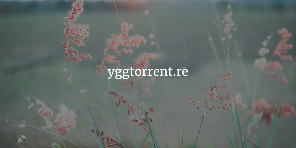 Illustration avec l'adresse du site de téléchargement de BitTorrent : YggTorrent.re