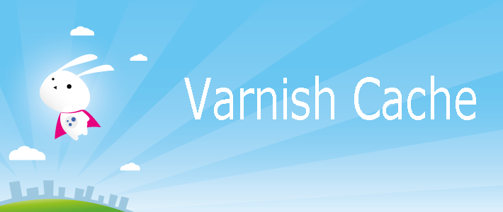 Schéma illustrant le logo de Varnish.